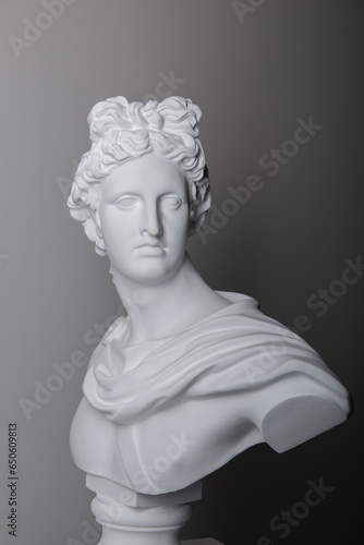 Male plaster statue head in studio over gray background