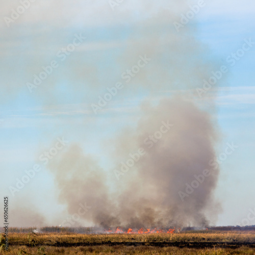 Smoky grass fire hot flames burn dry field