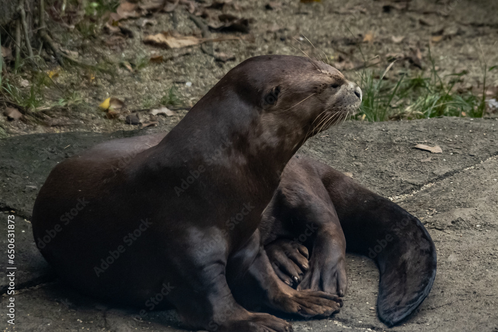 Fototapeta premium Views around Singapore , Asia,