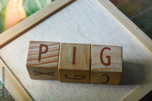 Photo of wooden blocks that make up the vocabulary 