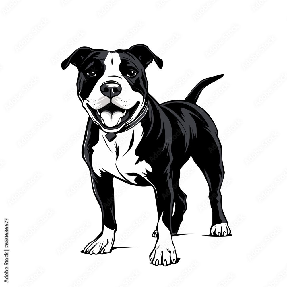 black and white pitbull dog illustration design on a white background