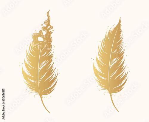 Two golden magic feathers isolated on  white background. Hand drawn vector illustration.