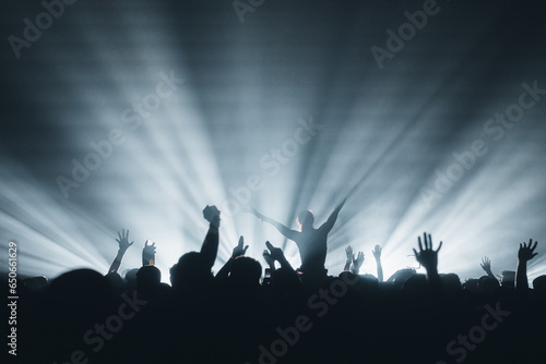 crowd of people dancing in the concert