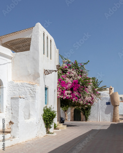 Traditional blue door with pattern tiles and pink flowers, Hara Sghira Er Riadh - Djerbahood in Tunisia photo