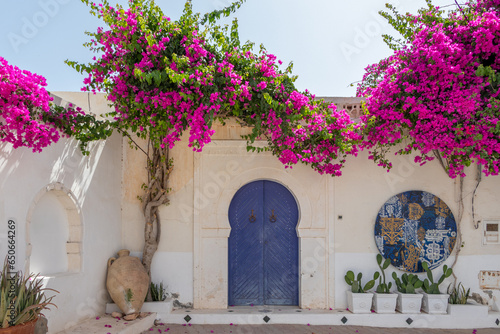 Traditional blue door with pattern tiles and pink flowers, Hara Sghira Er Riadh - Djerbahood in Tunisia