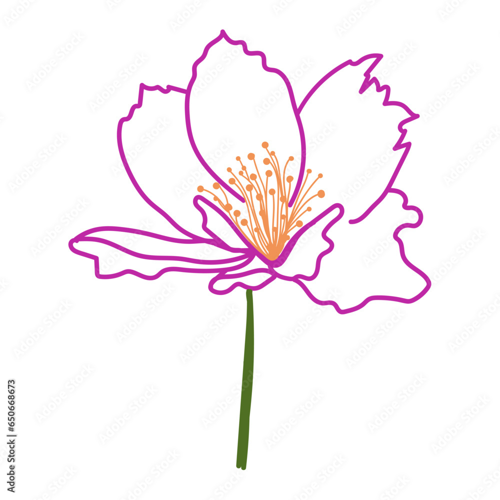 Peony flower illustration. Hand drawn vector image.