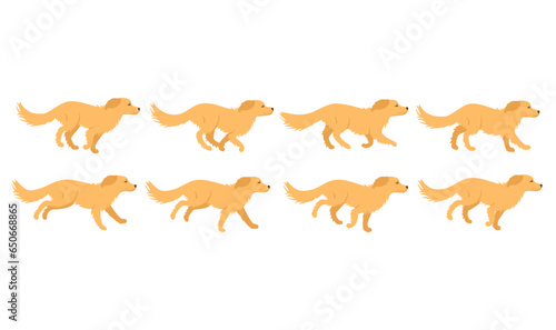 Golden retriever cycle of a dog running animation. Stop motion sequence, frames, 2D