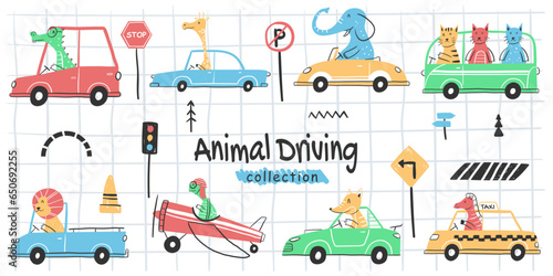 Colored set of kids transport with cute little animals driving car. hand draw.