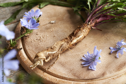 Plakat Fresh wild chicory root on a table, close up
