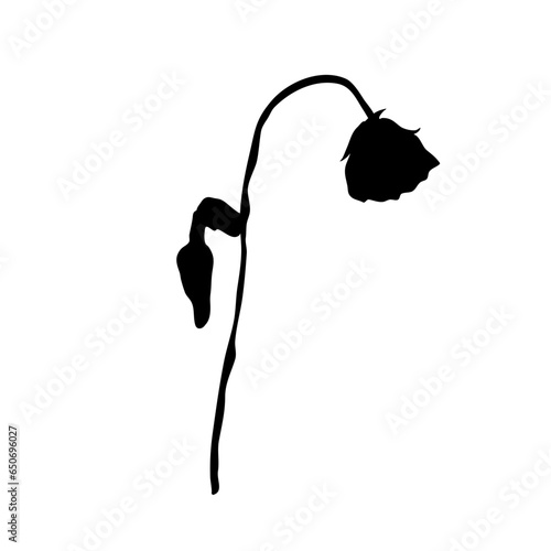 a wilted flower