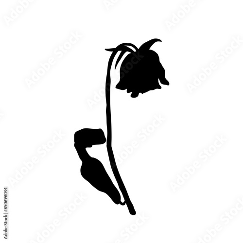 a wilted flower