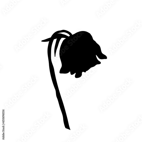 a wilted flower