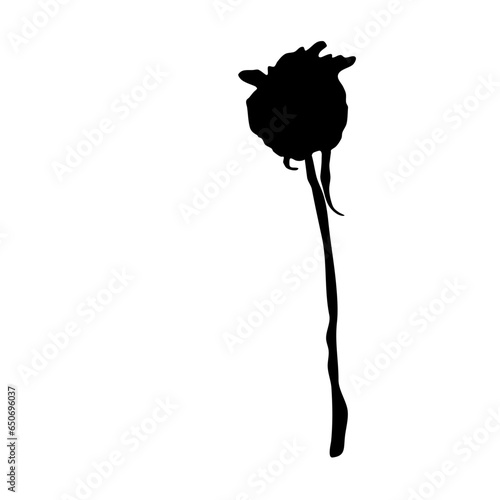 a wilted flower