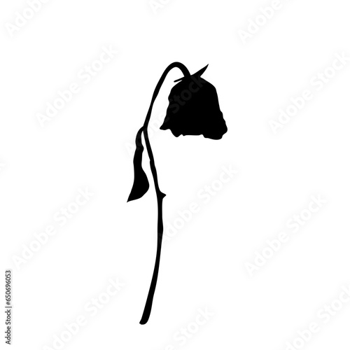 a wilted flower