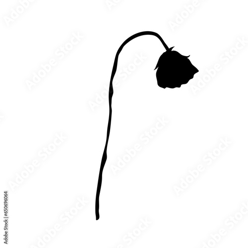a wilted flower