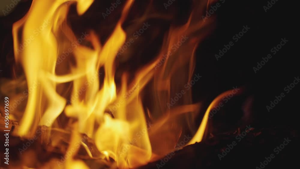 night scene. Bonfire Burning with smoke in Forest in Evening. Flaming Campfire. Fireplace in Nature, Slow Motion. picnic in woods outdoors night scene. Bonfire Burning with smoke in Forest in Evening. Flaming Campfire. Fireplace in Nature, Slow Motion. picnic in woods outdoors