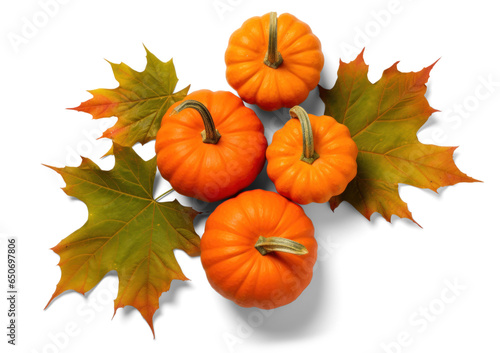 pumpkin with maple leaves, png file of isolated cutout object with shadow on transparent background.