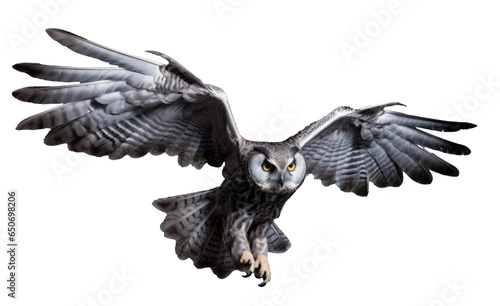 flying owl, png file of isolated cutout object with shadow on transparent background.