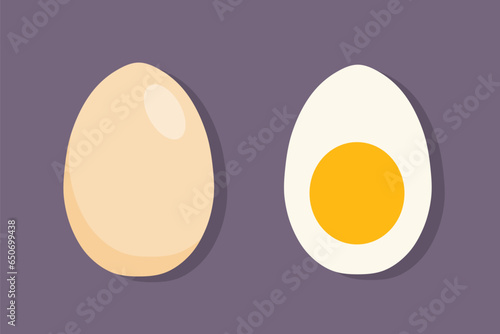 Vector egg illustration