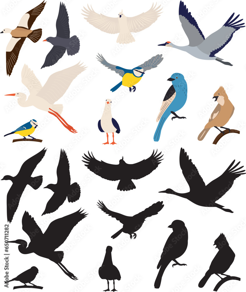 set of birds in flat style on a white background,vector