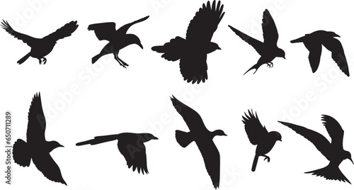 bird flying silhouette collection on white background,vector