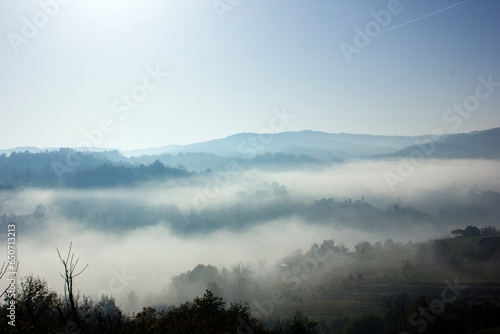 vineyard and mountains in fog © Zlatko Guzmic
