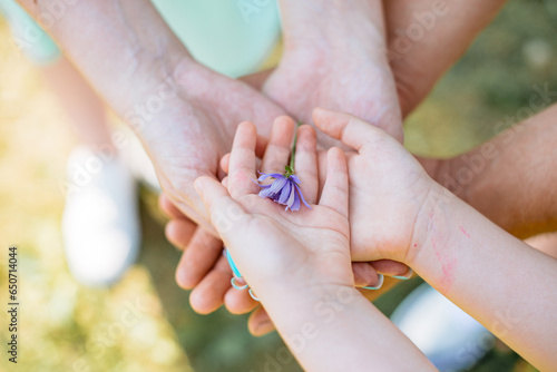 hands of parent and child