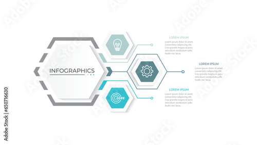 Business infographic design with 3 options. Vector thin line label with hexagons template