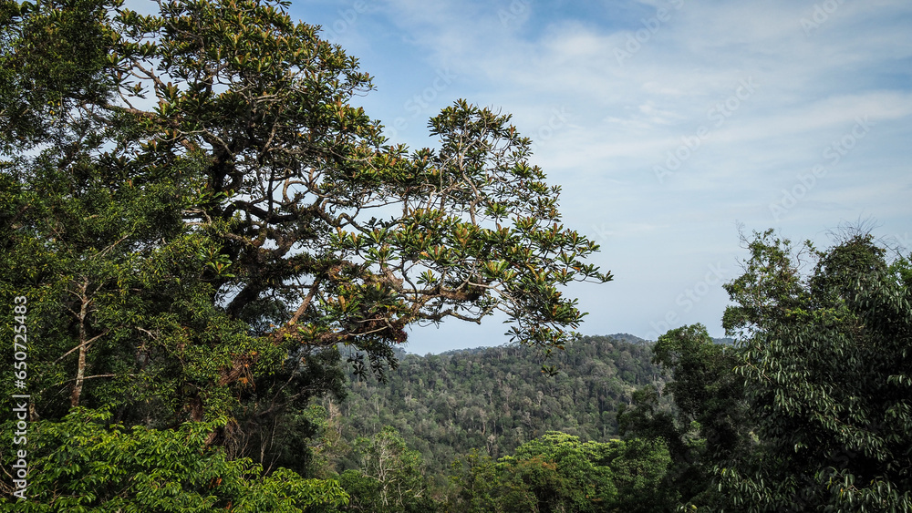 The landscape of Penang Hill in Malaysia