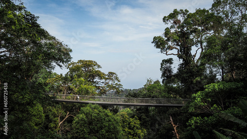 Canvastavla The landscape of Penang Hill in Malaysia