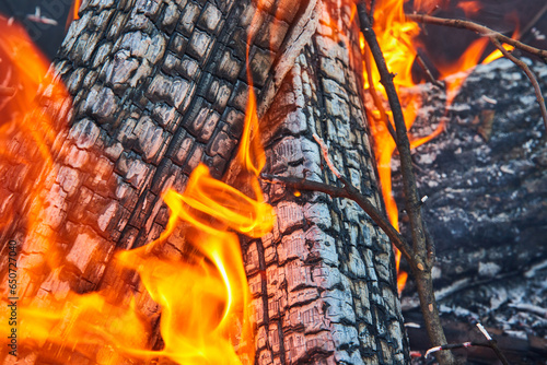 Φωτογραφία Close up background asset orange and yellow flames lapping against two ashen log