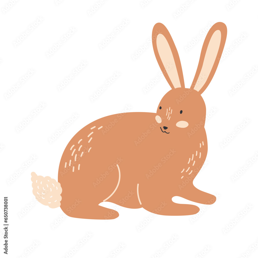 Rabbit Or Hare Illustration Rabbit Or Hare Illustration