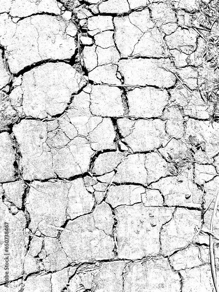 earth cracked texture. natural dry land earth cracked texture. natural dry land