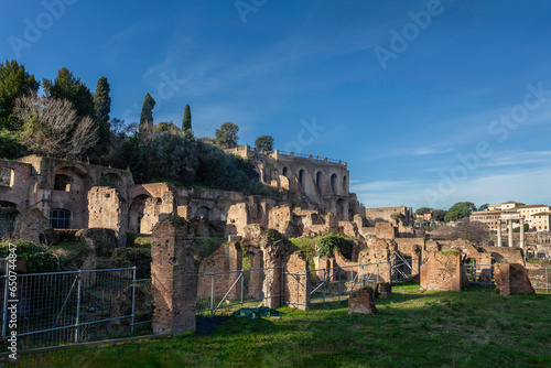 Ruins on the Roman Forum with Palatin hill, Rome, Italy