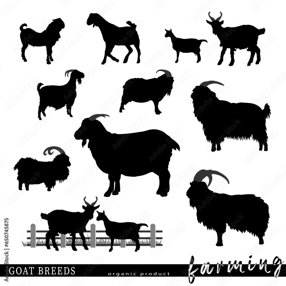 Goat breeds silhouettes. Vector illustration.