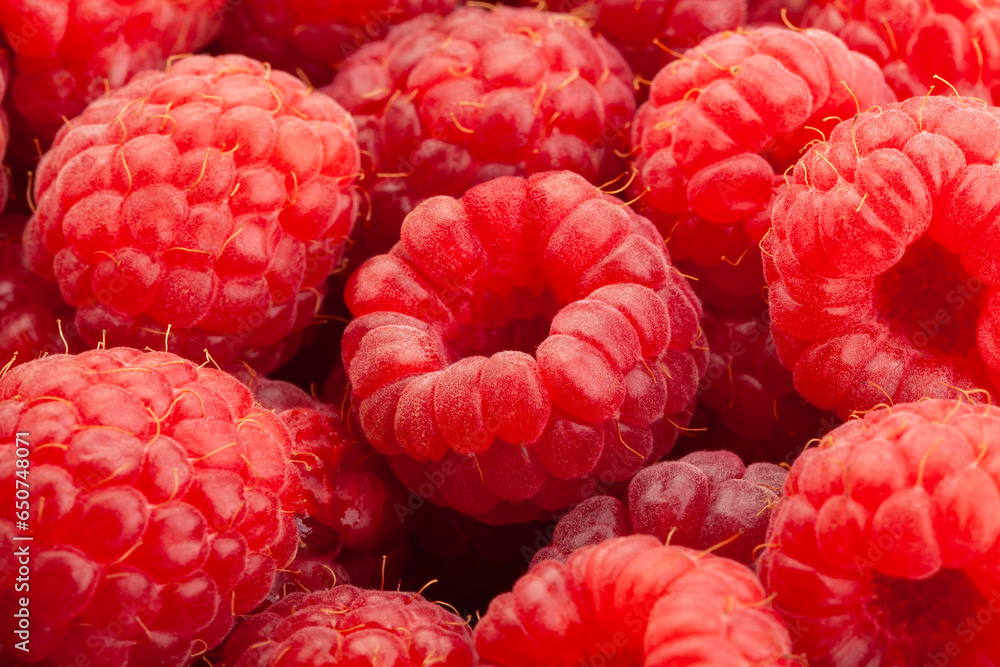 raspberry group macro closeup detail raspberry group macro closeup detail