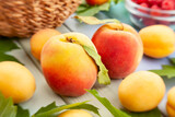 peach group on wood background