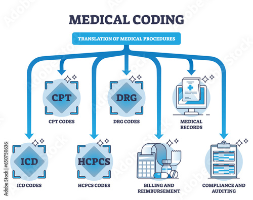 Medical coding and translation of medicine health procedures outline diagram. Labeled educational scheme with diagnosis, equipment and services information alphanumeric codes vector illustration.