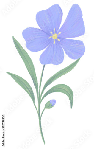 Hand drawing flower illustration 