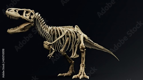 Wallpaper Mural Trannosaurus Rex Sue Skeleton Animation render of background. 3d rendering Torontodigital.ca