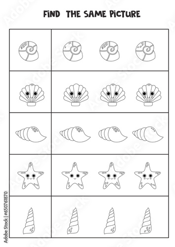 Find two the same sea shells. Black and white worksheet.