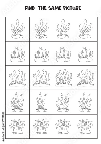 Find two the same sea weeds. Black and white worksheet.