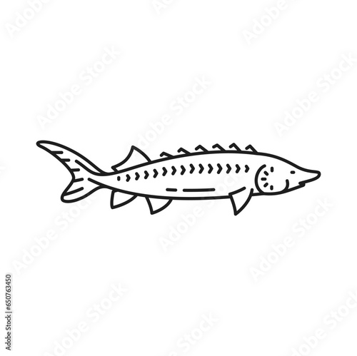 Bluefish mascot isolated tuna fishing industry mascot. Vector fishing sport emblem, atlantic sardine, mackerel with flounders. Scombridae saltwater fish