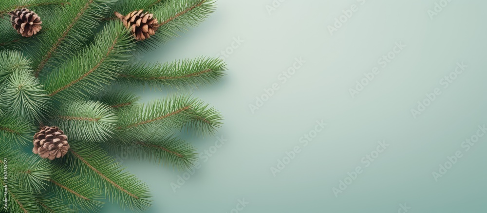 Christmas trees on a isolated pastel background Copy space Christmas trees on a isolated pastel background Copy space