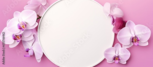 Pink orchid in circular frame isolated pastel background Copy space