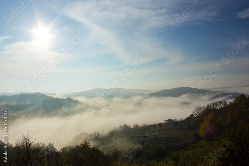 fog 3655