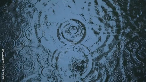 水面の波紋を俯瞰する