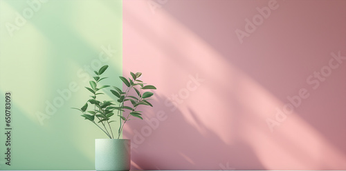 minimal pink wallpaper background with a green plants on the scene, soft light by the window, banner use photo