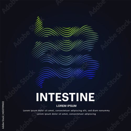 Human Intestine medical structure. creative Vector logo Intestines color silhouette on a dark background. Large Intestine logo vector template suitable for organization, company, or community. EPS 10