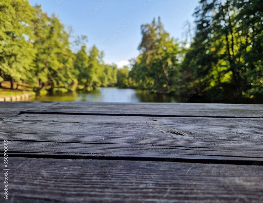 Empty wooden surface against a blurred landscape of a river or lake in a park. Old wooden table and park landscape. Design mockup with copy space. Nature